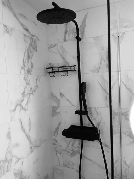 Superbe Duplex Cosy Appartement Reims Buitenkant foto